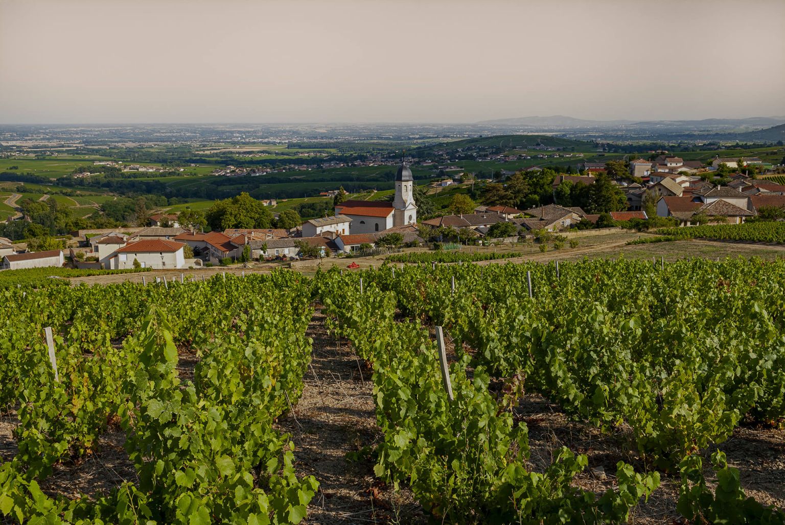 Découvrez 
nos hébergements